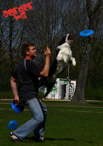 14.JPG