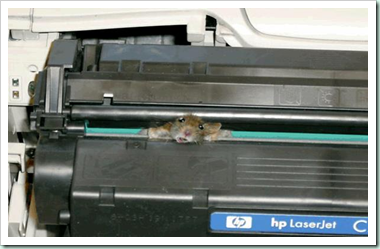 mouse in printer