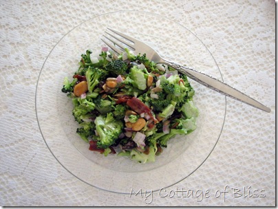 IMG_1895 broccoli salad #3