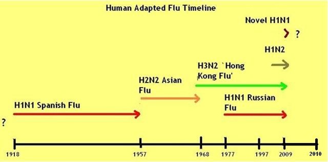 [Flu Timeline[5].jpg]
