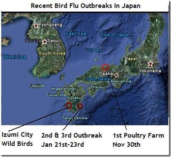 Bird Flu Japan