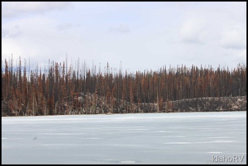 Forest-Fire-on-the-Cassiar