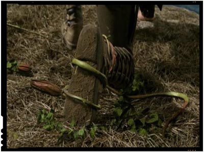 The Legend of the Seeker