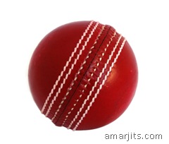 cricket_ball_o74i1