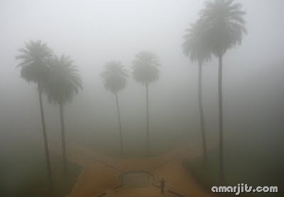 Fog_amarjits (6)