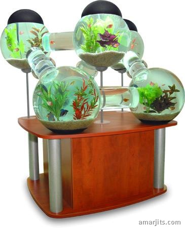 octopus-aquarium-angled-stand