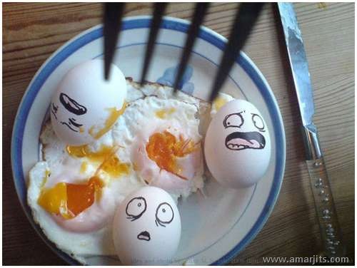 Eggs-amarjits (7)