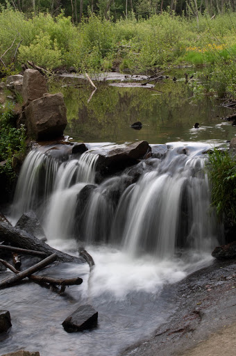 DSC_0099.jpg
