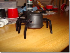 Spider Family 035