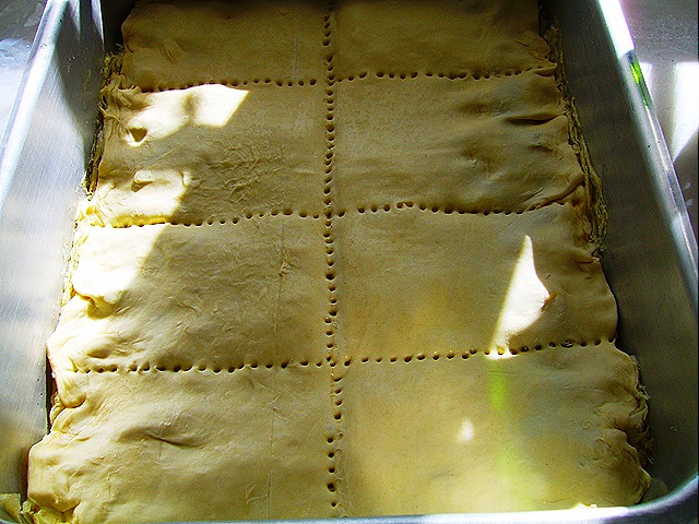 [SV1090014.jpg]