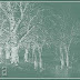 Xana-2006 (47).gif.jpg