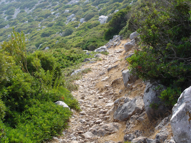 DSC01789.JPG