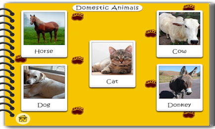 Fun With Flashcard poster 5