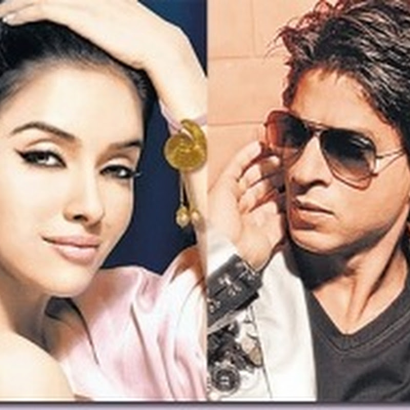 Asin to romance superstar Shahrukh Khan!