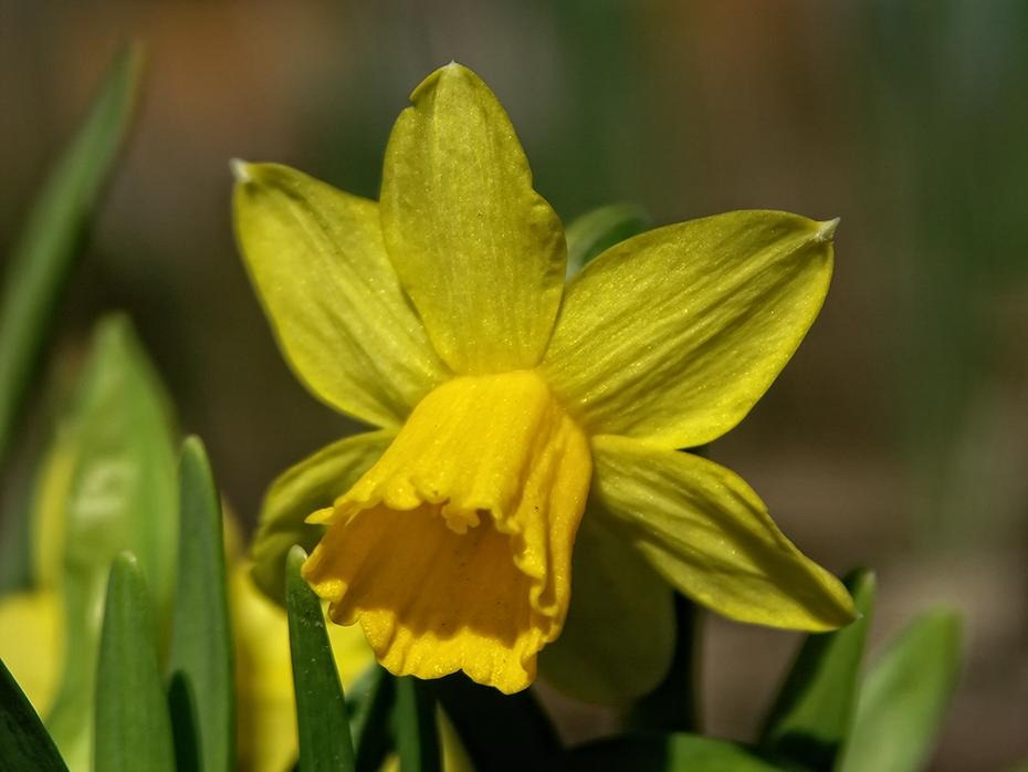 [PICT1145_re[2].jpg]