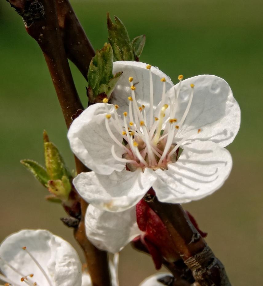 [PICT1174_re[2].jpg]