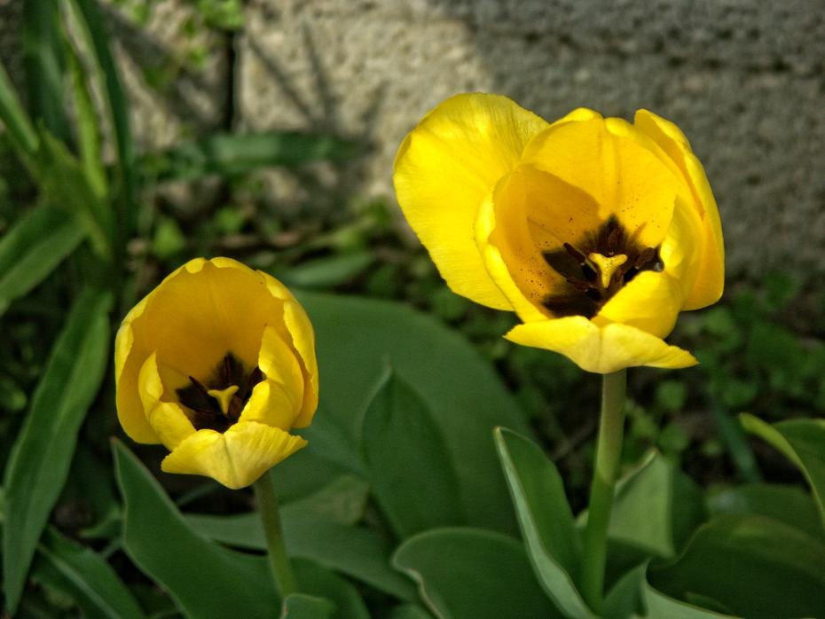 [PICT1240_re[2].jpg]