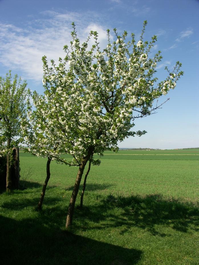 [PICT0203_re[2].jpg]