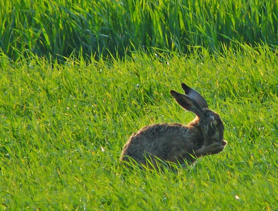 [DSCF4933_re[2].jpg]