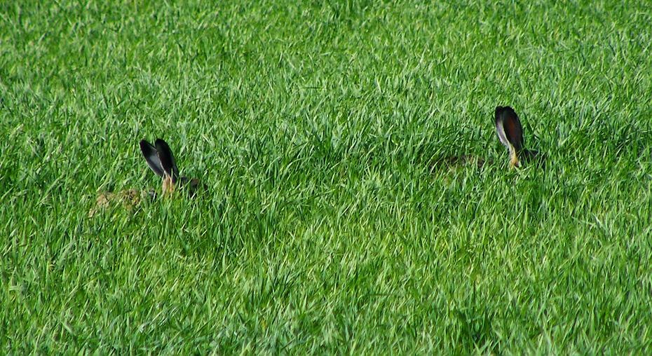 [DSCF4940_re[2].jpg]