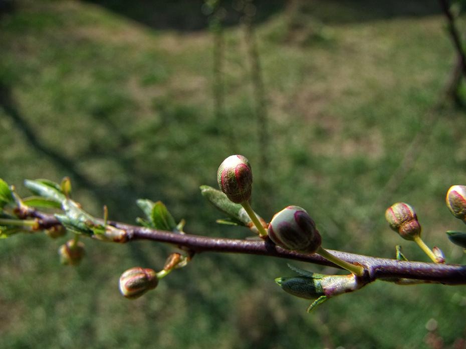 [DSCF2506_re[2].jpg]