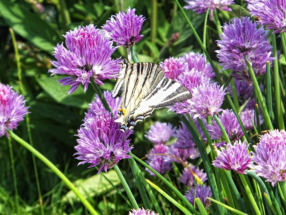 [DSCF0028_re[2].jpg]