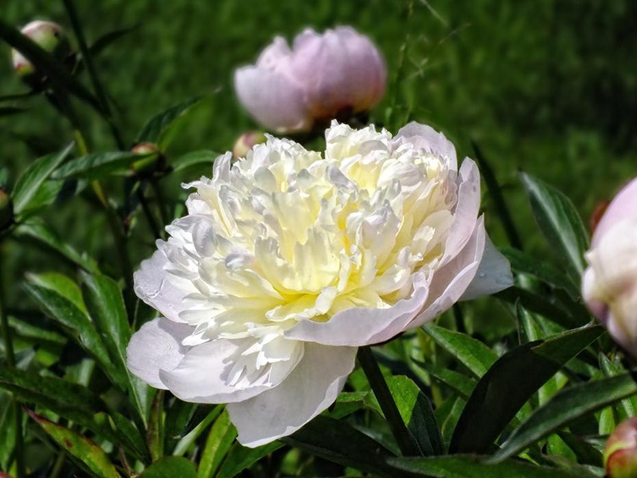 [DSCF0101_re[2].jpg]