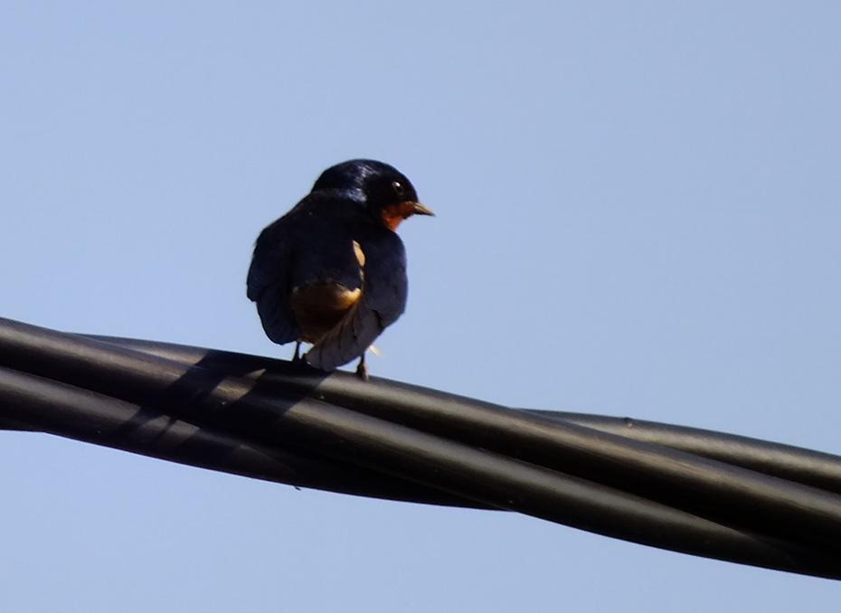 [DSCF0118_re[2].jpg]