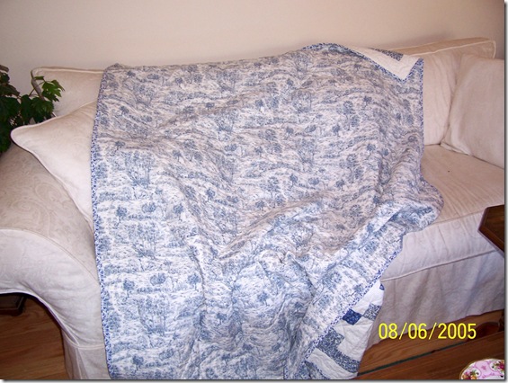back of blue irish chain quilt