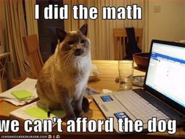 [funny-pictures-cat-did-the-math-and-you-cannot-afford-the-dog (Small)[3].jpg]