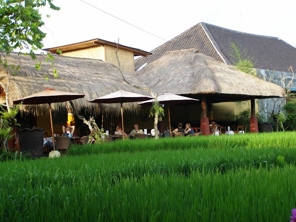 Obiective turistice Indonezia: Bali la o cafea