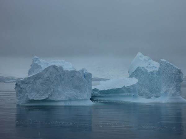 Imagini Antarctica: iceberg.JPG