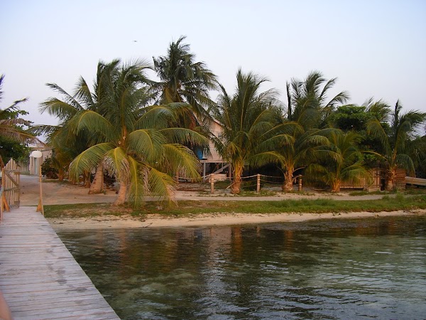 7. in spatele palmierului e motelul.JPG