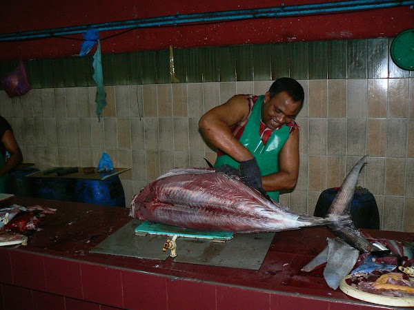 Imagini Maldive: piata de peste.JPG