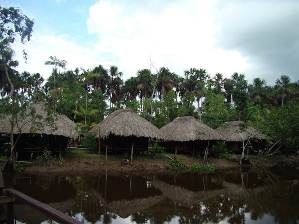Obiective turistice Venezuela: cazare in delta. la flux erau in apa.JPG