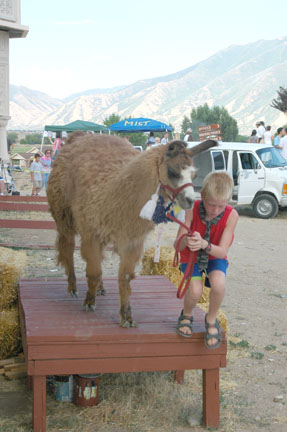Sump Kommerciel junk 16th Annual Llama Fest - Radha Krishna Temple in Utah