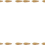 LANZA_PREHISTORIA.JPG