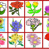 loto flores.jpg