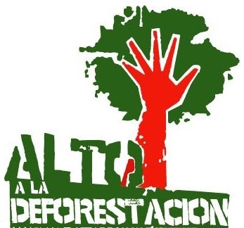 [deforestacion[5].jpg]