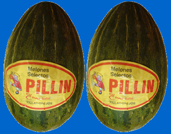 melones pillin