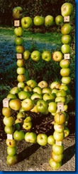 silla manzana