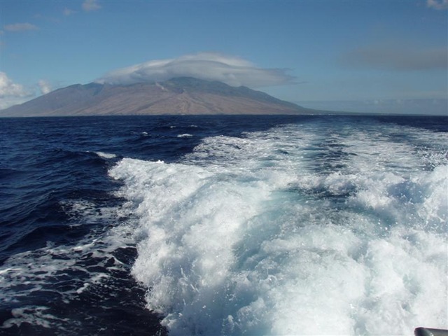 [Maui Snorkeling_10 (1) (Medium)[2].jpg]