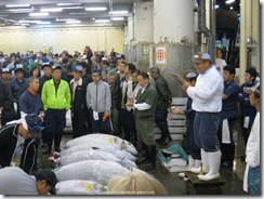Tsukiji Fish Market_08 [1600x1200]