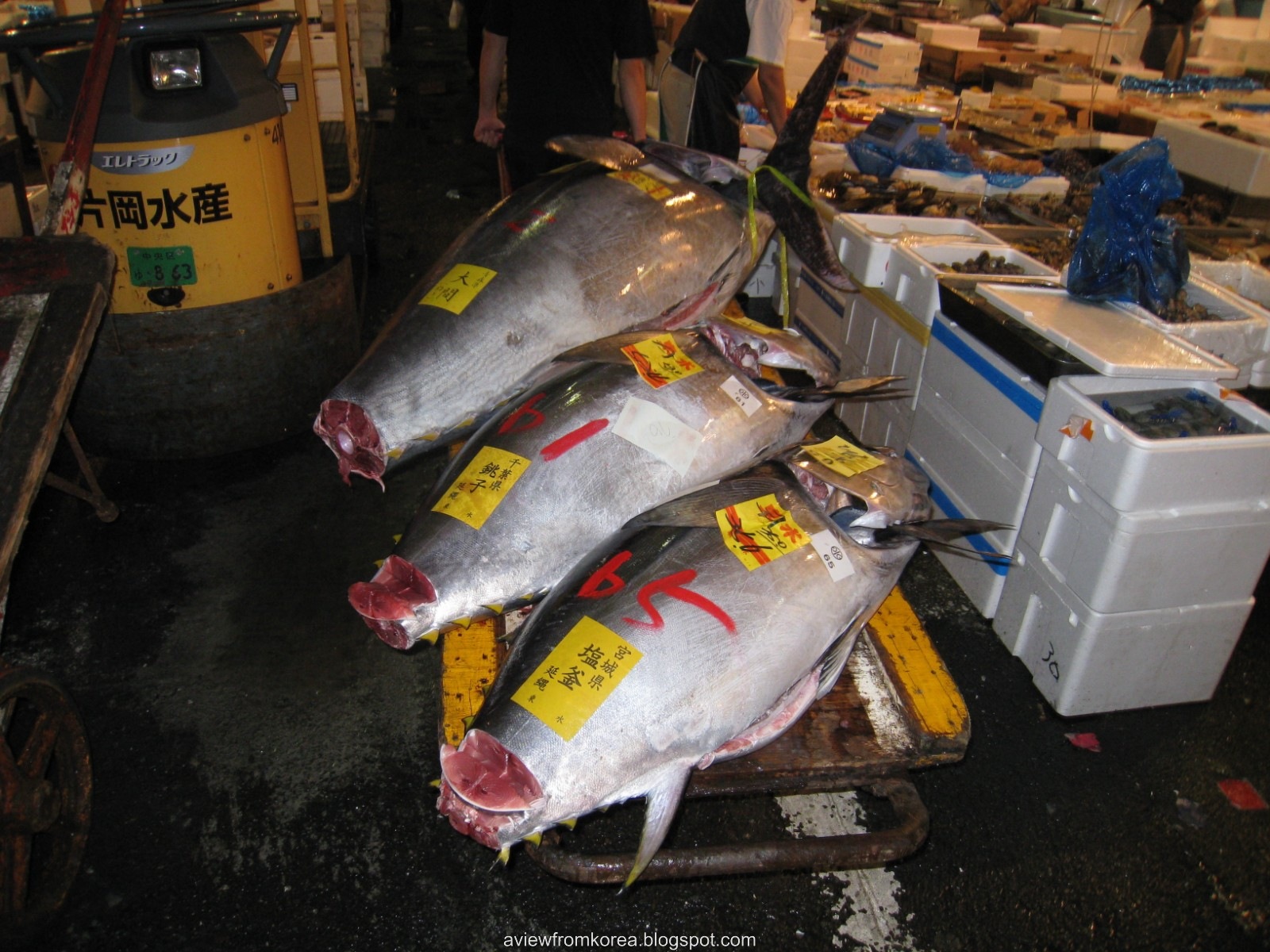 [Tsukiji Fish Market_03 [1600x1200][2].jpg]