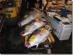 Tsukiji Fish Market_03 [1600x1200]