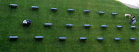 Benches at Royal Ascot