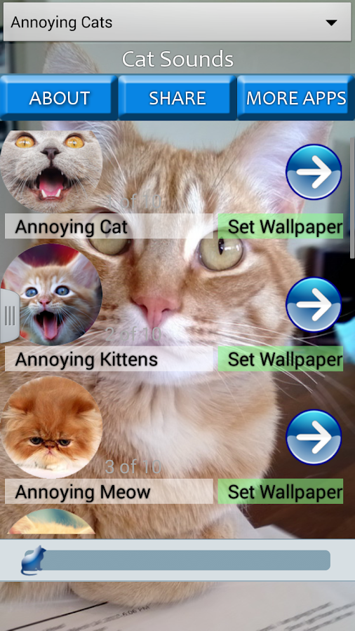 kedi sesleri ve görüntüleri Google Play�de Android Uygulamaları