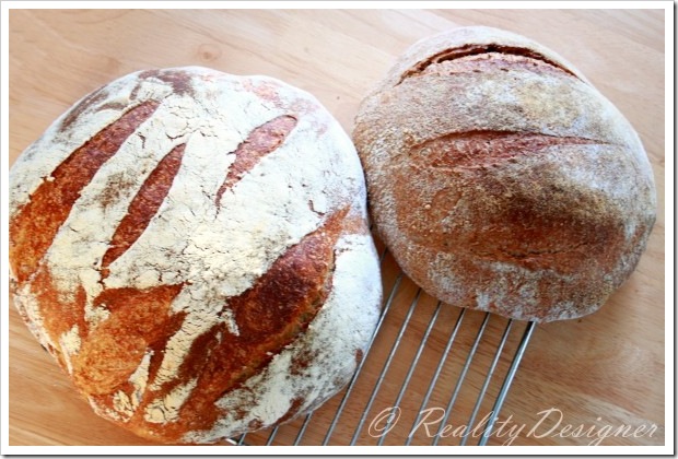 World Bread Day 2009, chleby z przypadku