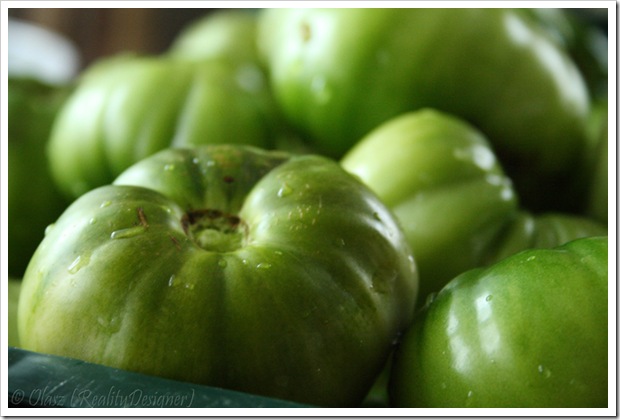 Sałatka z zielonych pomidorów – do słoików
