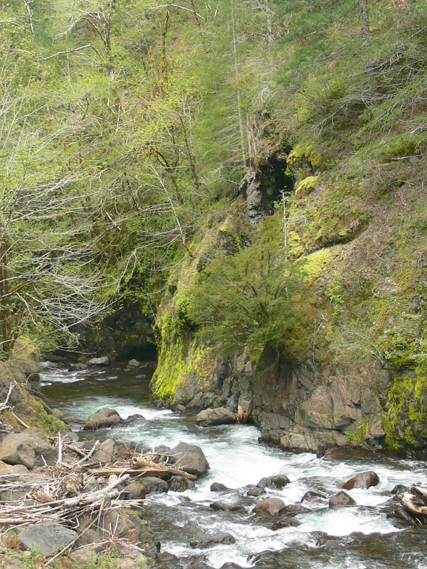 Tillamook Railroad from Cochran 5.2.10 - Oregon Hikers
